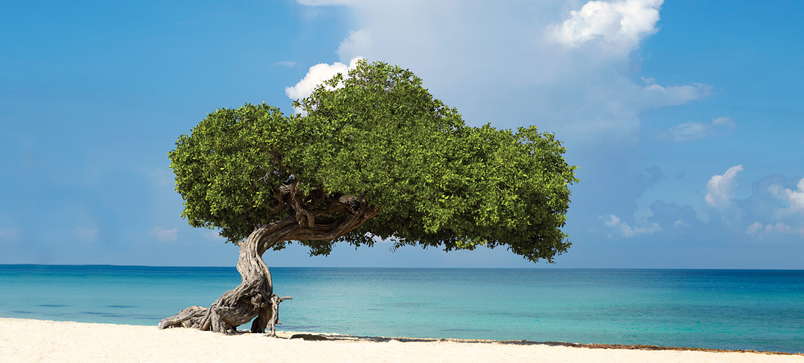 Aruba
