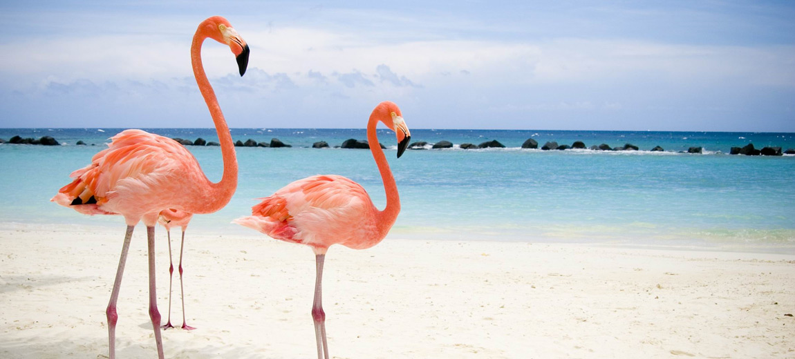 Aruba