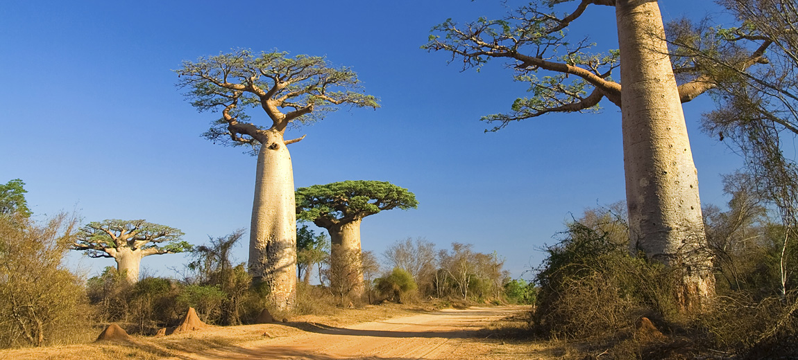 Madagaskar