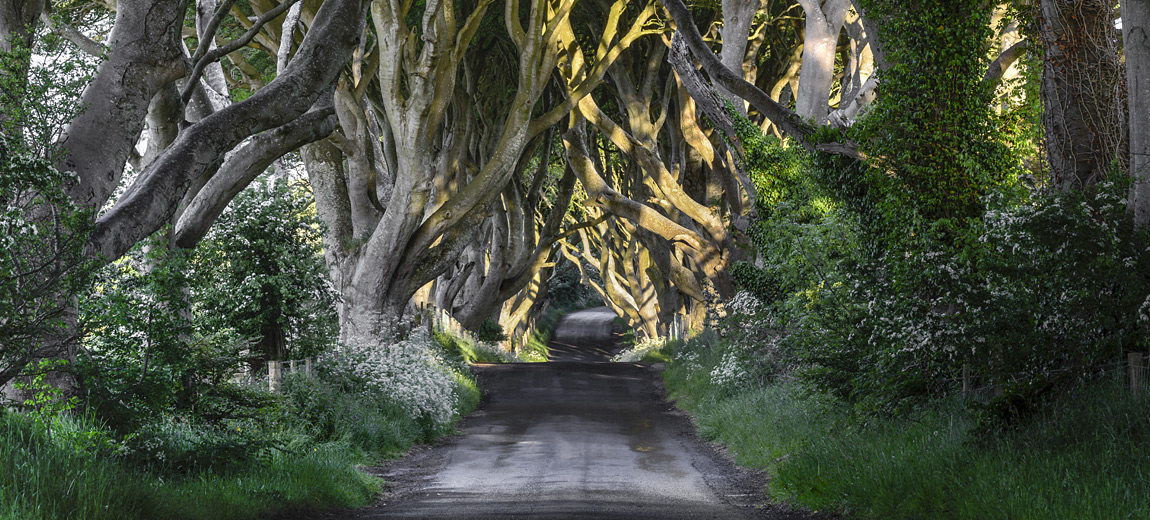 Noord-Ierland