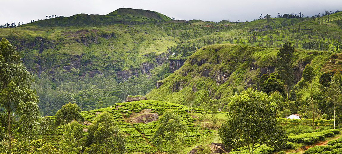Sri Lanka