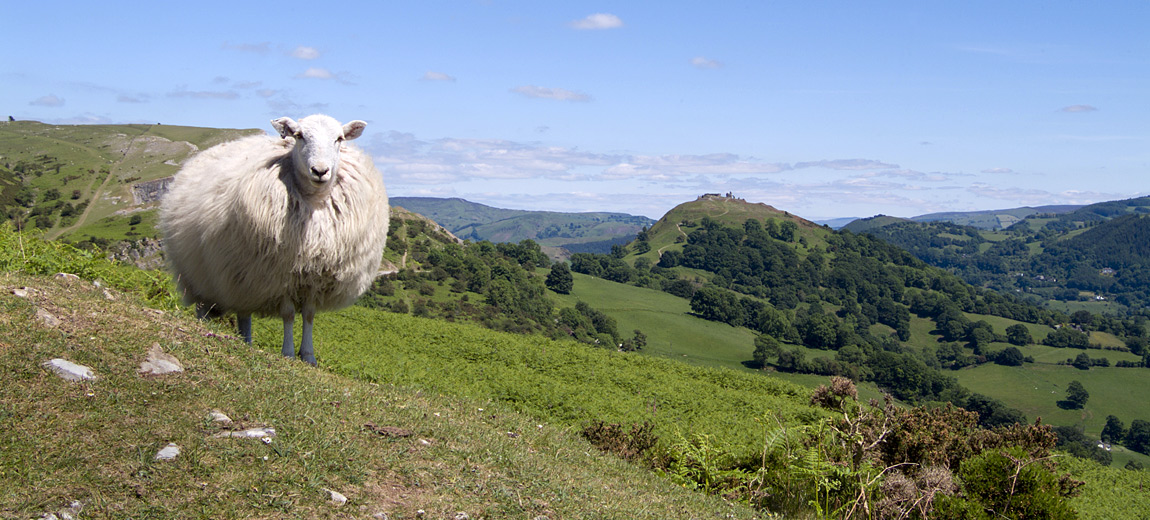 Wales