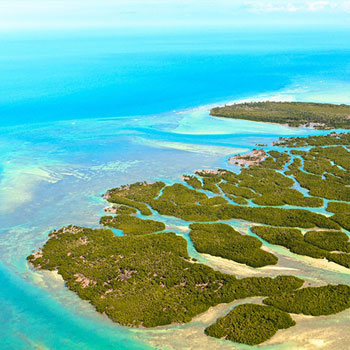 Florida Keys