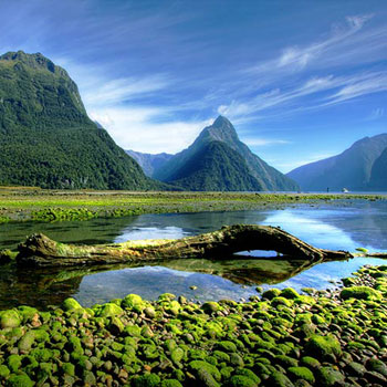 Milford Sound