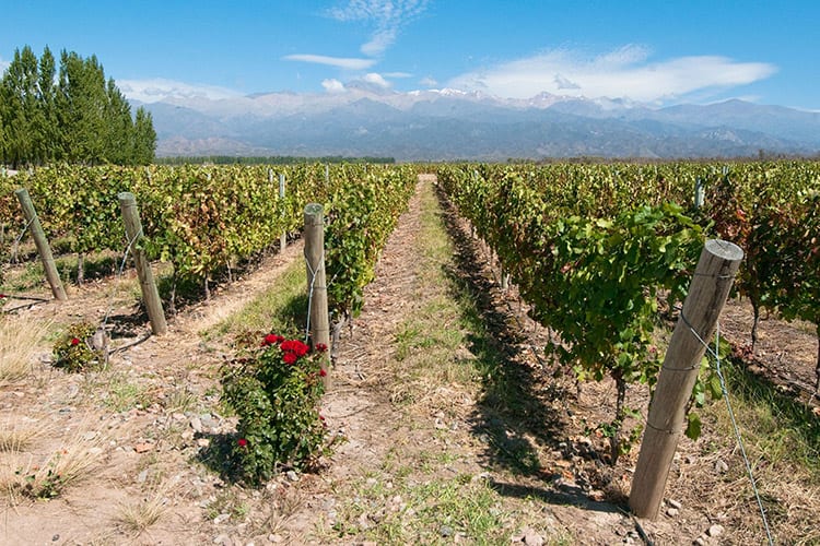 Mendoza