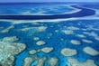Great Barrier Reef