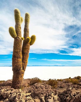 Salar de Uyuni