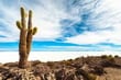 Salar de Uyuni