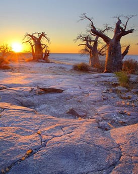 Makgadikgadi Pans National Park