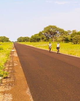 Maun