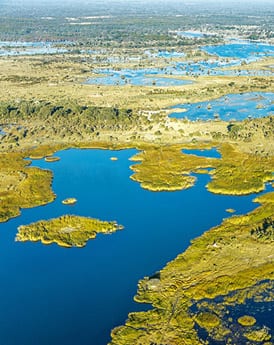 Okavango Delta