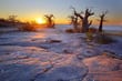 Makgadikgadi Pans National Park