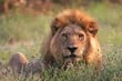 Moremi Game Reserve