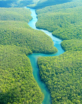 Manaus & de Amazone