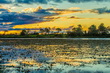 Pantanal