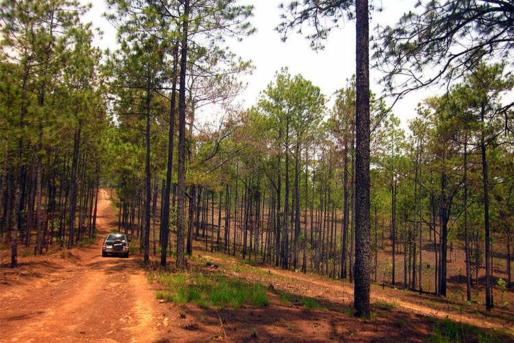 Kirirom National Park