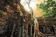 Angkor Wat