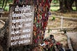 Killing Fields