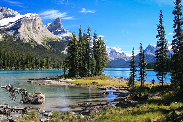 Jasper National Park