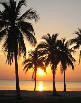 Isla de la Juventud