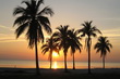 Isla de la Juventud
