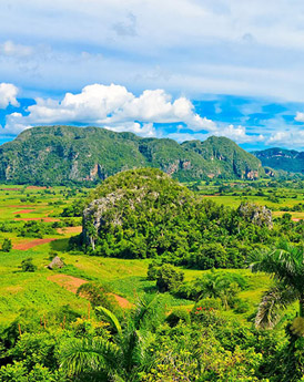 Viñales