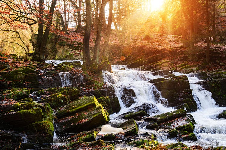 Harz