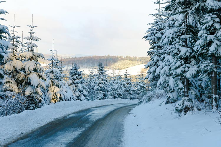 Sauerland