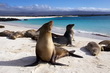 Galapagos eilanden
