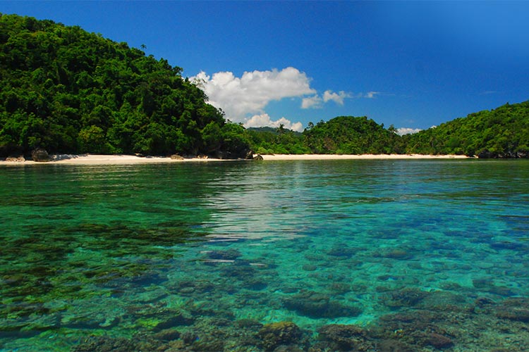 Danjugan Island