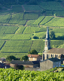 Bourgogne