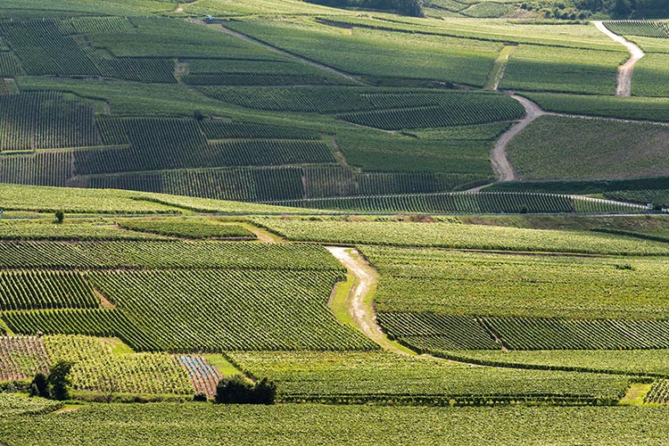 Champagne-Ardenne