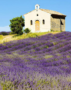 Provence
