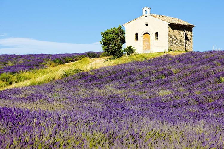 Provence