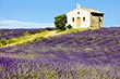 Provence