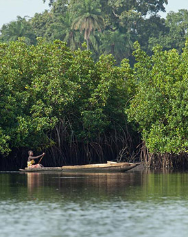 Gambia Rivier