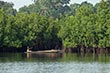 Gambia Rivier