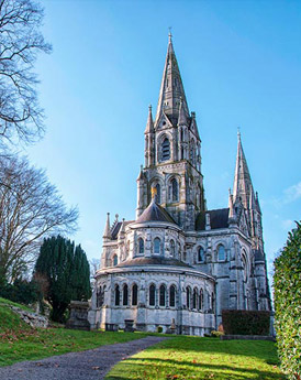 Cork