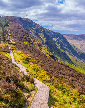 Wicklow Mountains
