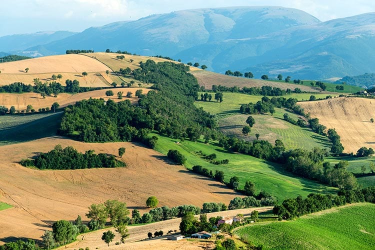 Le Marche
