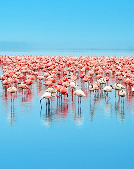 Lake Nakuru