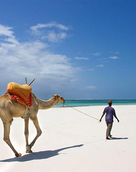 Oostkust Kenia