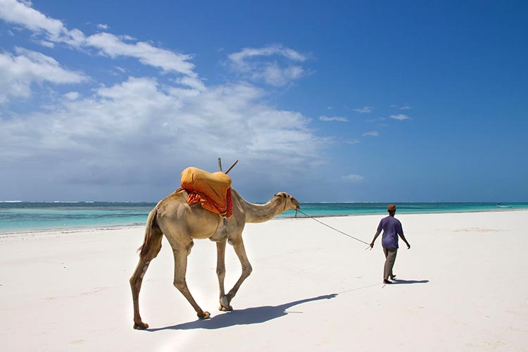 Oostkust Kenia