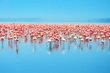 Lake Nakuru