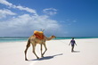 Oostkust Kenia