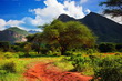 Tsavo East & Tsavo West