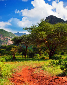 Tsavo East & Tsavo West