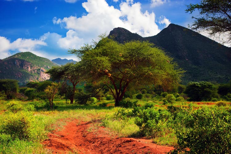 Tsavo East & Tsavo West