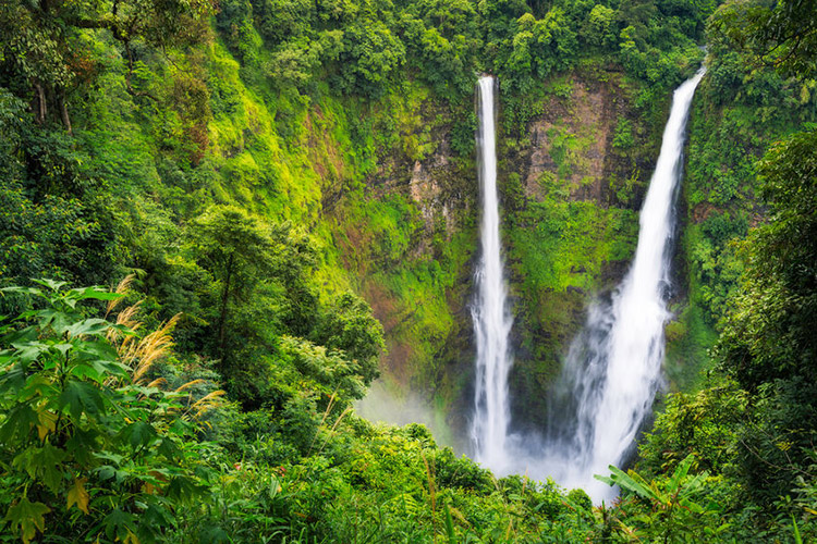 Bolaven Plateau