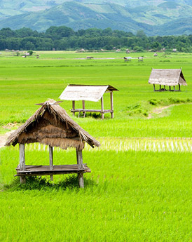 Luang Namtha